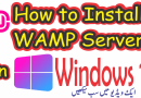 How to install property in steps  Wamp Server on Windows 11